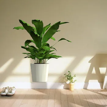 1 Gabalas, Tropinių Augalų Vazoninių Modelis Siena Lipdukas su Ryškia Stambių Lapų Žalioji Gyvenimo Kambario, Miegamasis Namų Dekoro Lipduko
